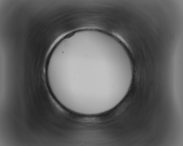 X0000086741468200705041358