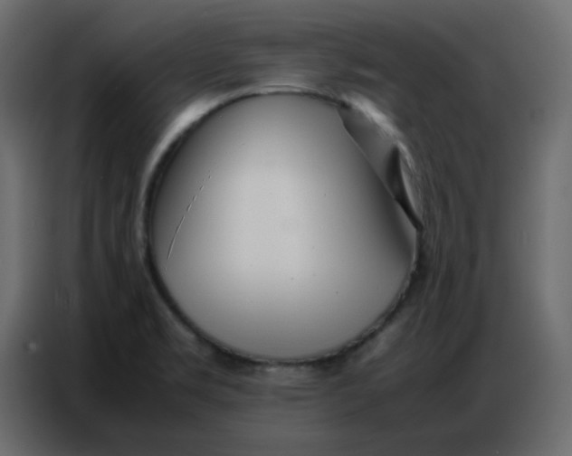 X0000086741469200705041358