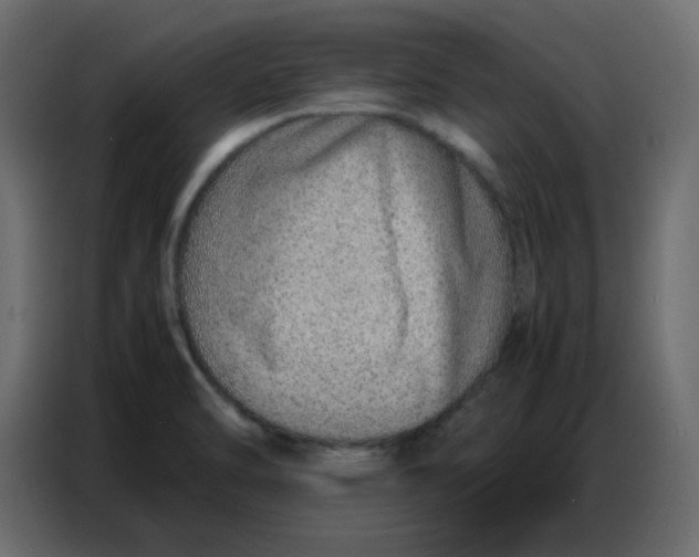 X0000086741470200705041358