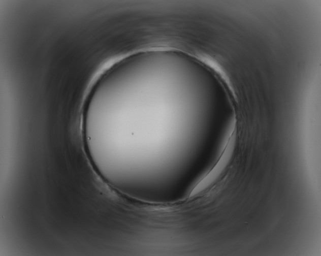 X0000086741472200705041358