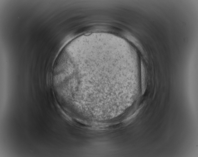 X0000086741473200705041358