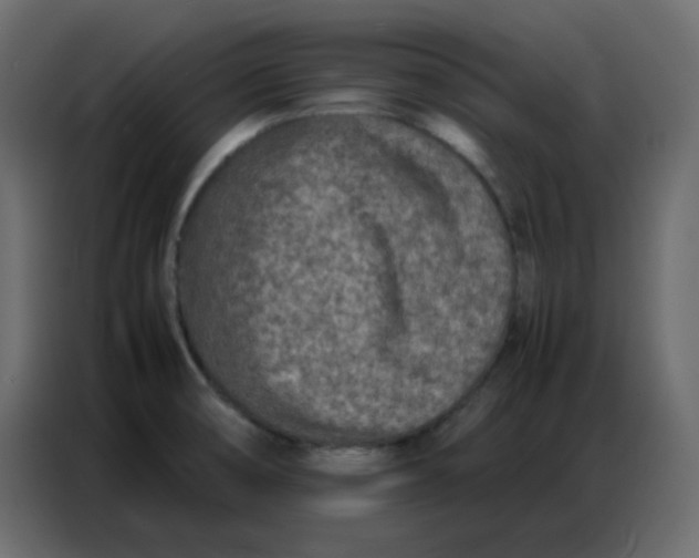 X0000086741474200705041358