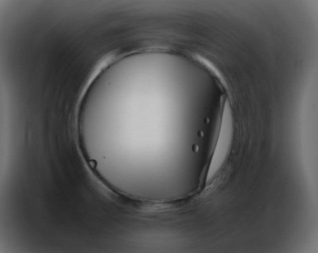 X0000086741475200705041358