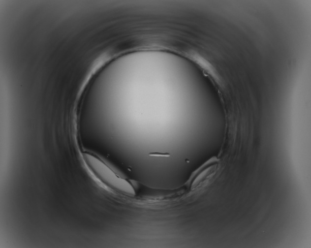 X0000086741476200705041358