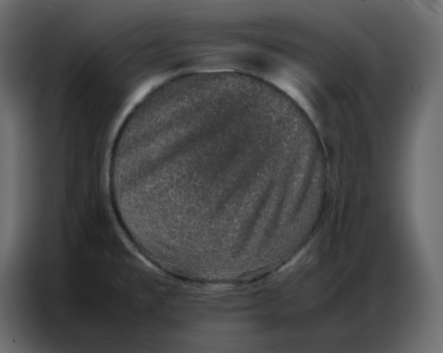 X0000086741477200705041358