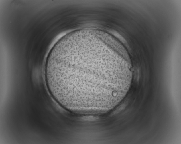 X0000086741478200705041358