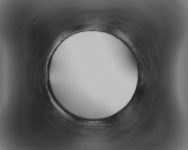 X0000086741479200705041358