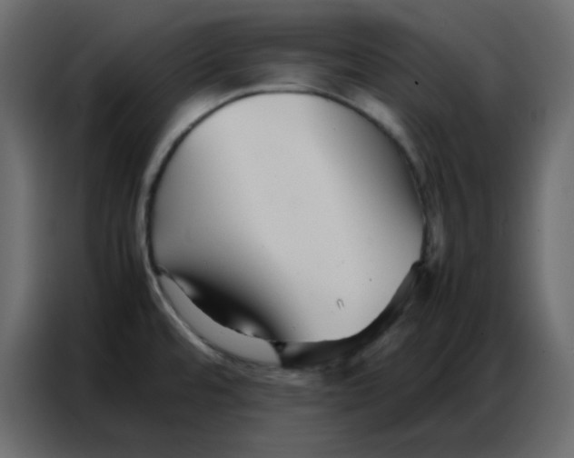 X0000086741480200705041358