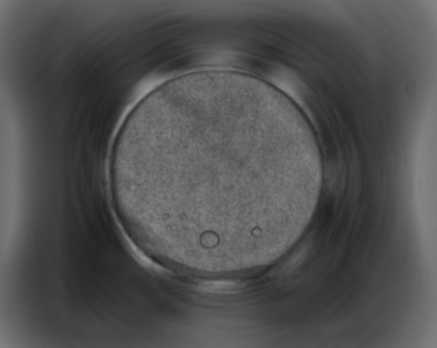 X0000086741482200705041357