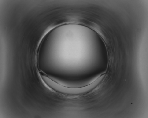 X0000086741484200705041357