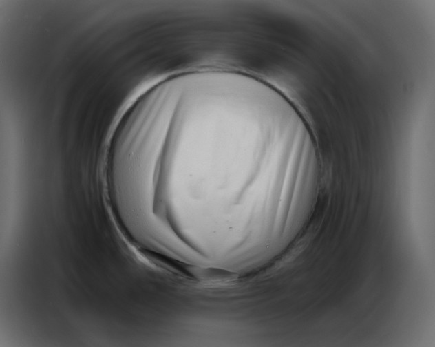 X0000086741486200705041357