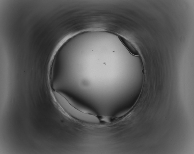 X0000086741488200705041357