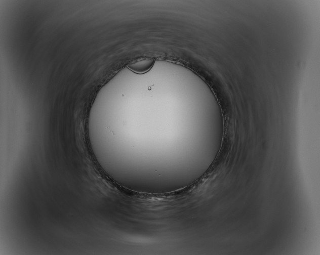 X0000086741489200705041357