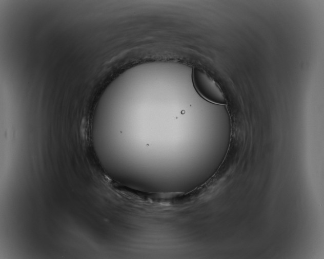 X0000086741490200705041357