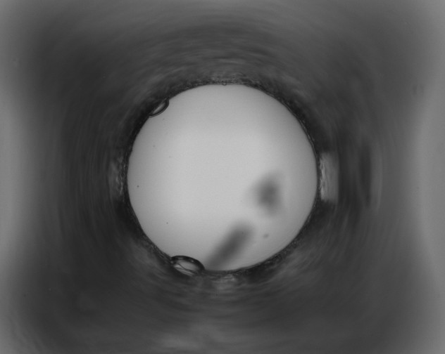 X0000086741491200705041357