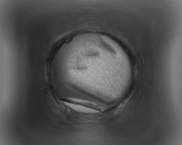 X0000086741494200705041357