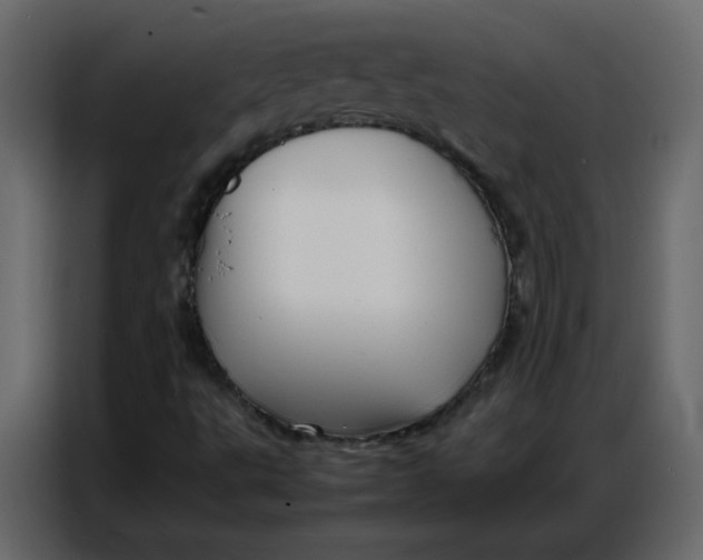 X0000086741495200705041357