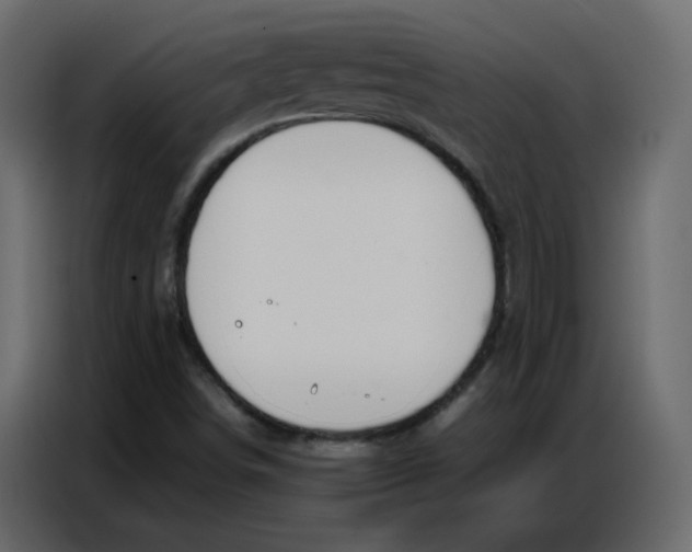 X0000086741498200705041357