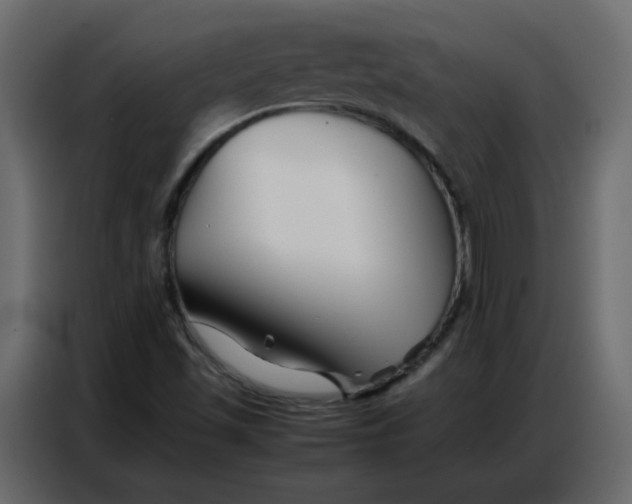 X0000086741501200705041357