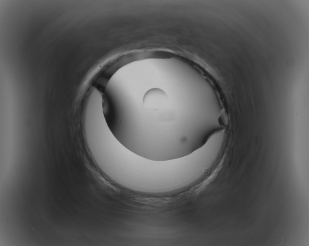 X0000086741502200705041357