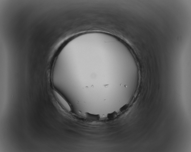 X0000086741503200705041357