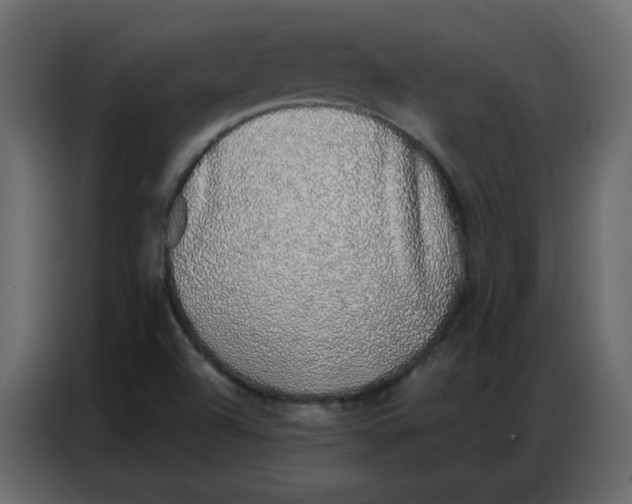 X0000086741504200705041357