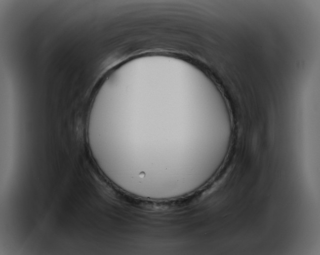 X0000086741505200705041357