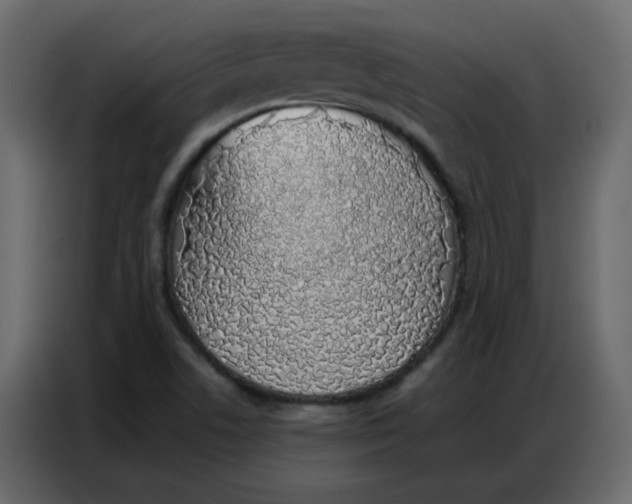 X0000086741506200705041357