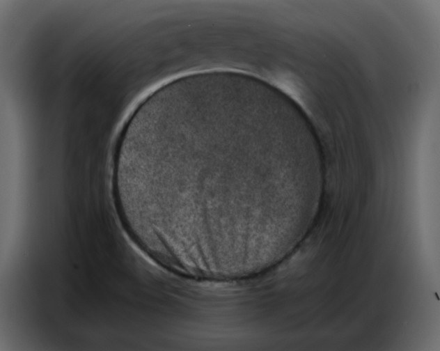 X0000086741508200705041357