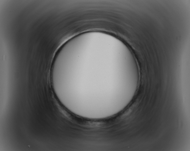 X0000086741513200705041357