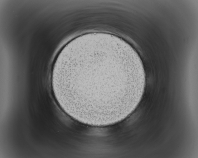 X0000086741514200705041357