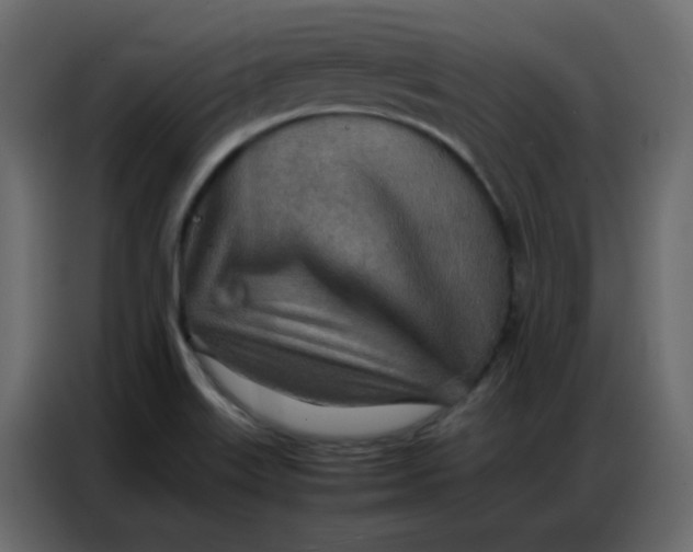 X0000086741515200705041357