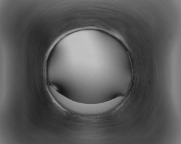 X0000086741516200705041357