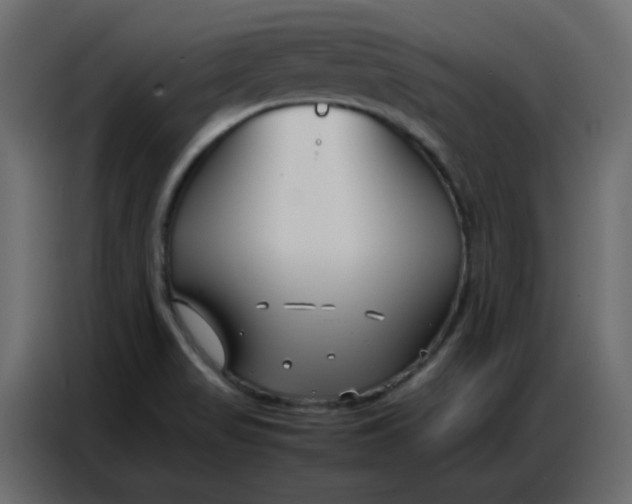 X0000086741517200705041357