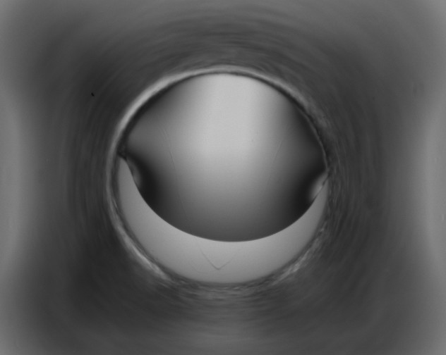 X0000086741518200705041357