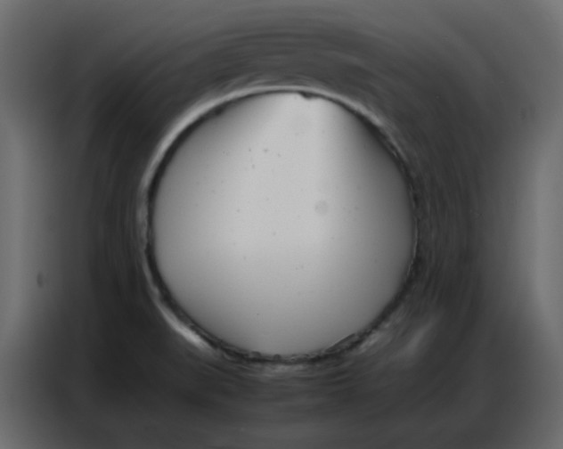 X0000086741519200705041357