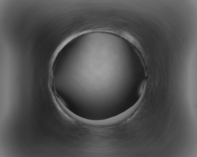 X0000086741520200705041357