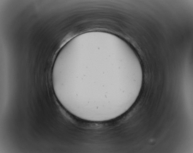 X0000086741521200705041357