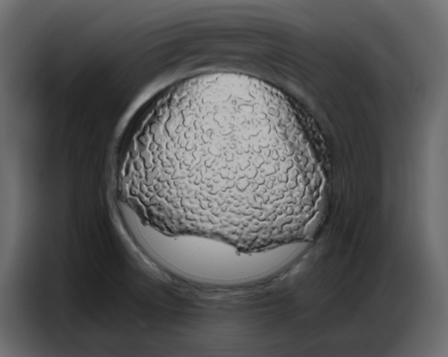 X0000086741522200705041357