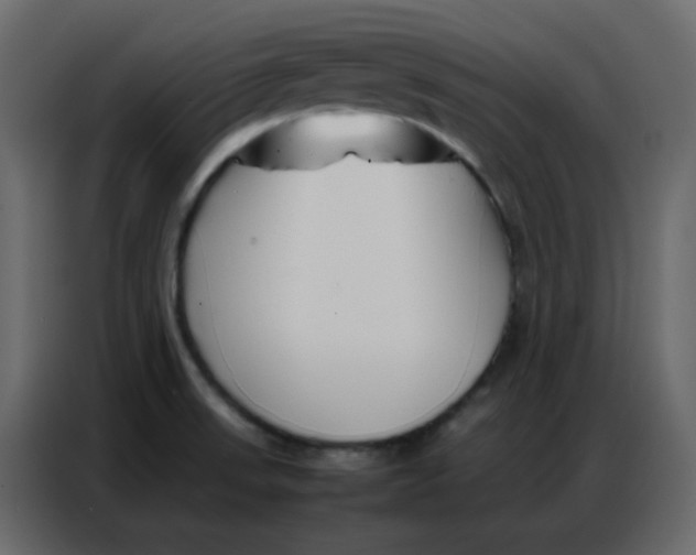 X0000086741523200705041357