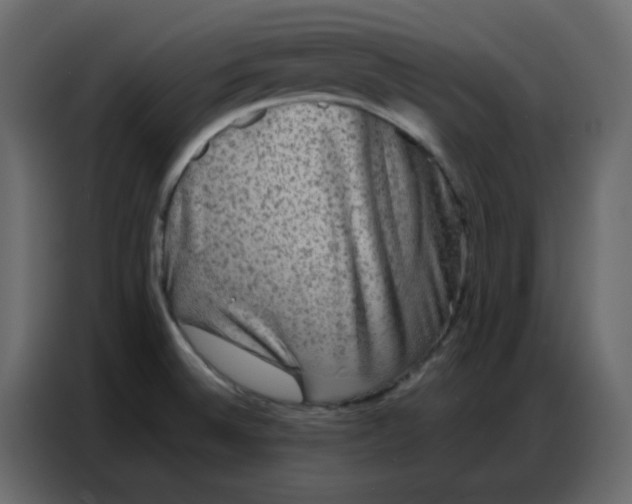 X0000086741524200705041357