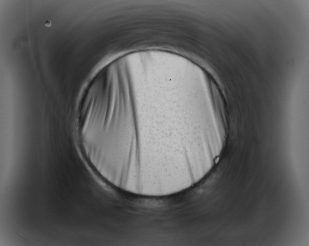 X0000086741525200705041357