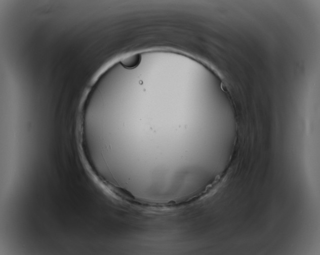 X0000086741526200705041357