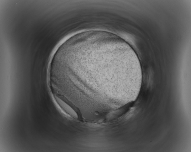 X0000086741528200705041357