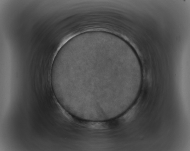 X0000086741529200705041357