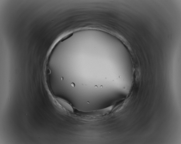 X0000086741530200705041357