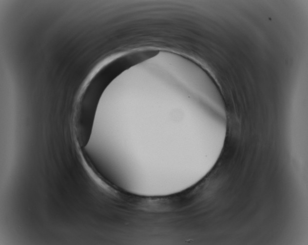 X0000086741531200705041357