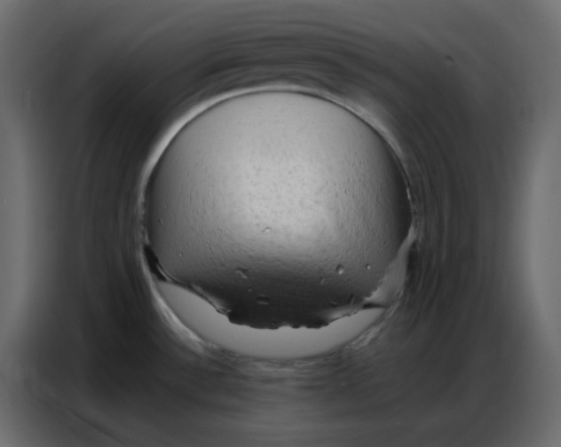 X0000086741532200705041357