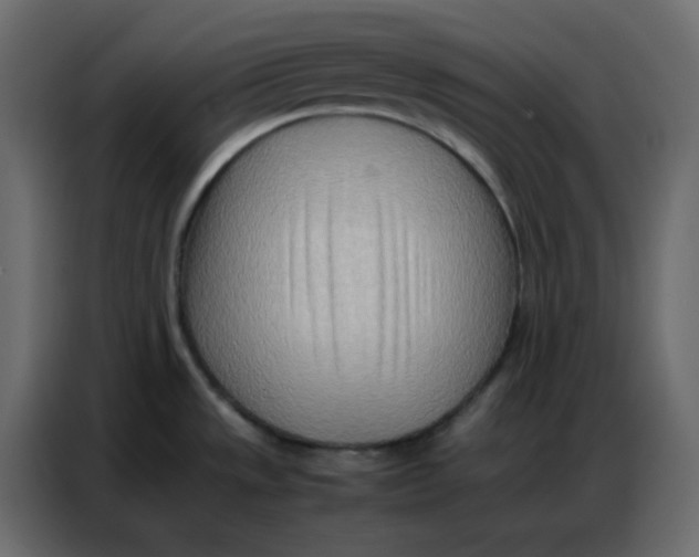 X0000086741533200705041357