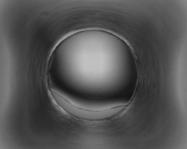 X0000086741534200705041357